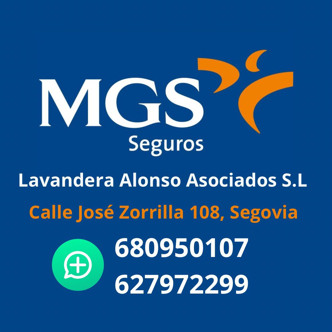 MGS Seguros – Lavandera Alonso Asociados MGS Seguros – Lavandera Alonso Asociados